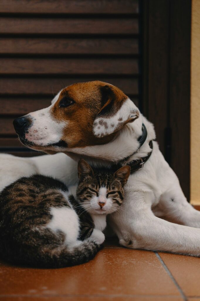 pet-policy